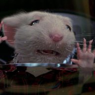 I hate Stuart Little
